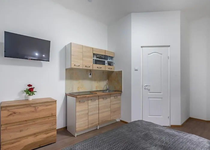 Comfy Studio In The Center Of The City